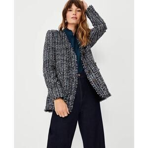 Ann Taylor Blazer Womens sz 12 Shimmer Fringe Tweed Jacket Blue Careerwear